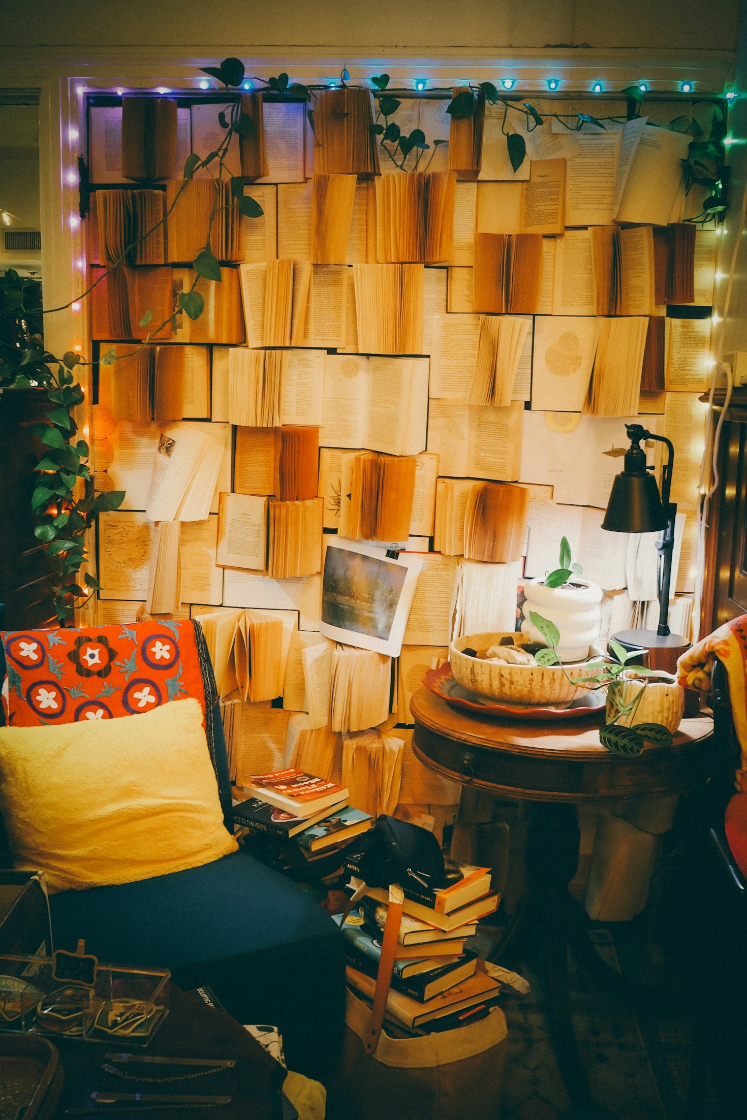 Cinco Plantas Perfeitas Para Apartamentos Compactos